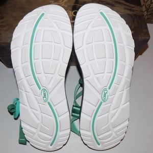 varsity pine chacos